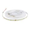 500033 LED TRAKA