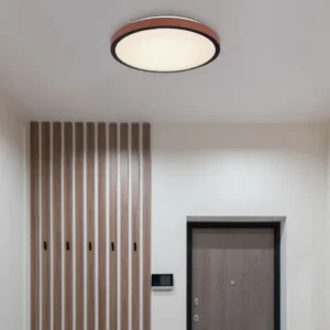 PLAFONJERA LED 24W