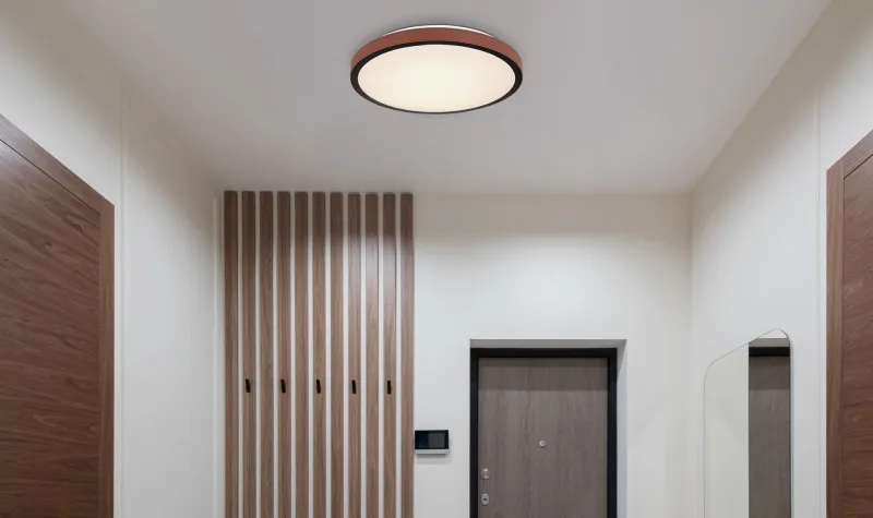 PLAFONJERA LED 24W