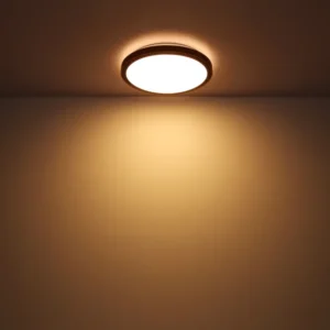 Alternative view of PLAFONJERA LED 24W